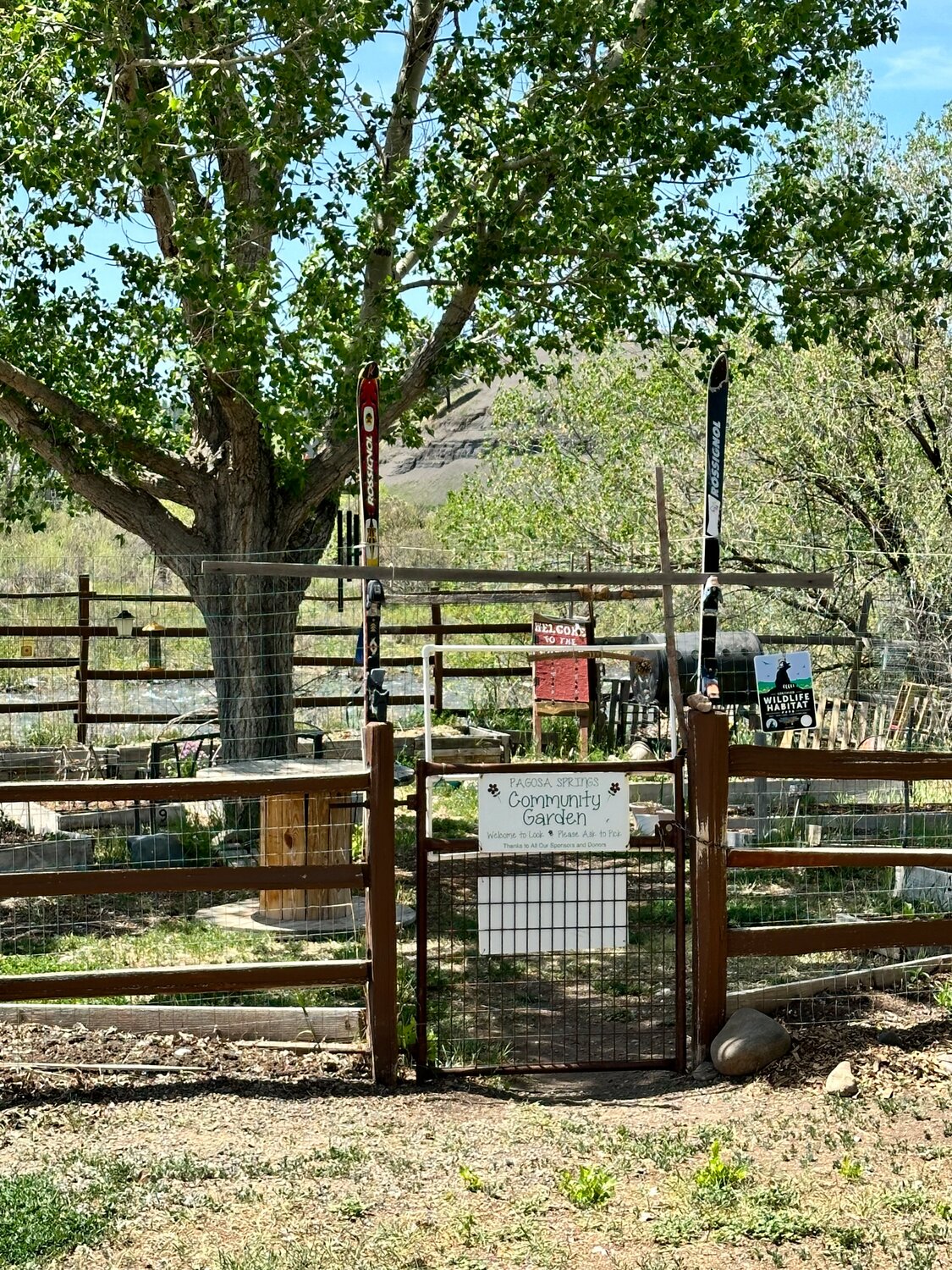 Outdoors The Pagosa Springs Sun